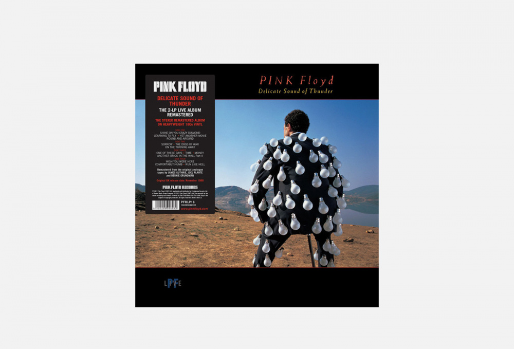Виниловая пластинка WARNER Pink Floyd - Delicate Sound Of Thunder 1 мл
