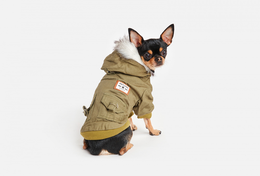 Куртка для собак ARNYDOG