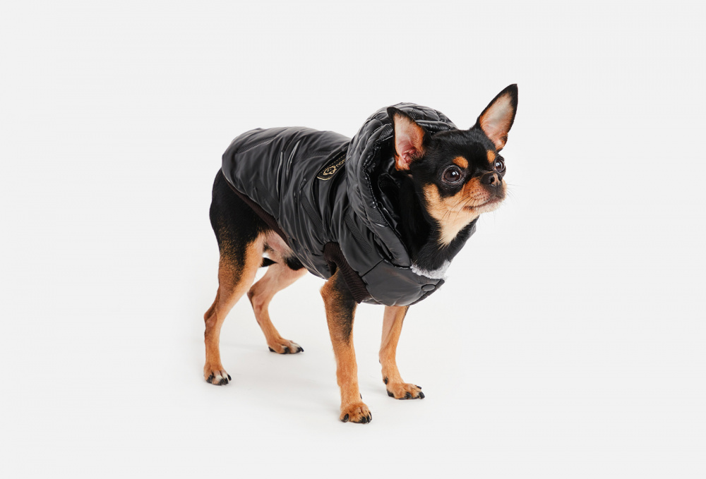 Куртка для собак ARNYDOG - фото 1