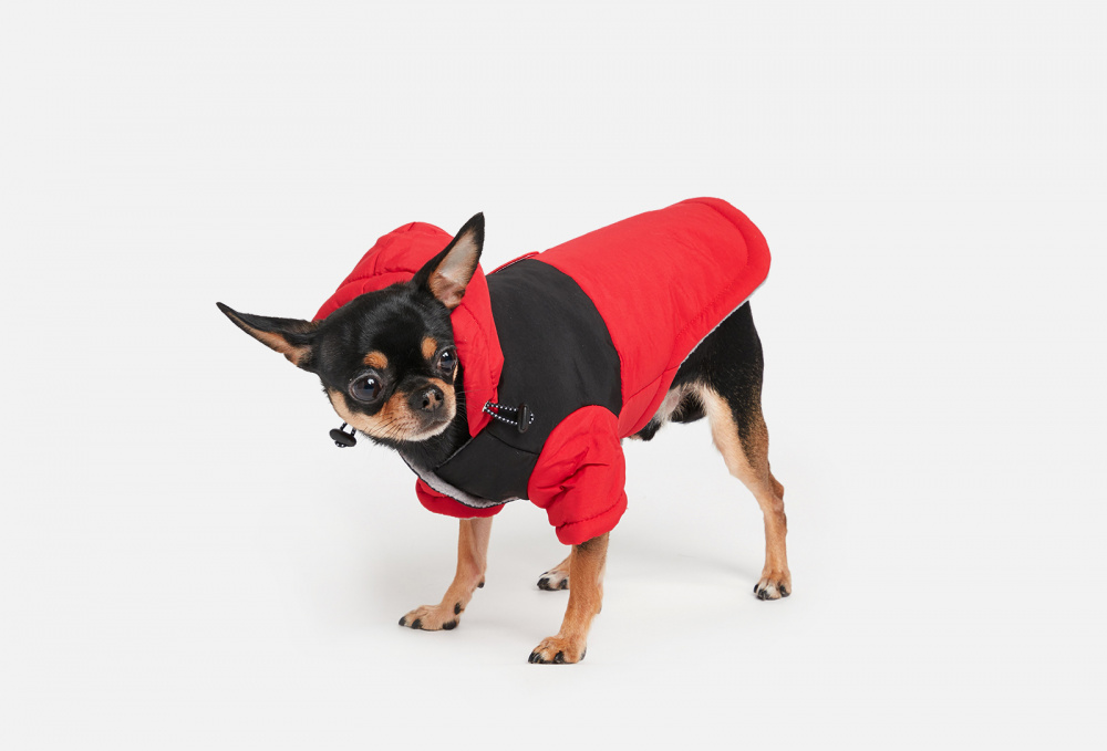Куртка для собак ARNYDOG