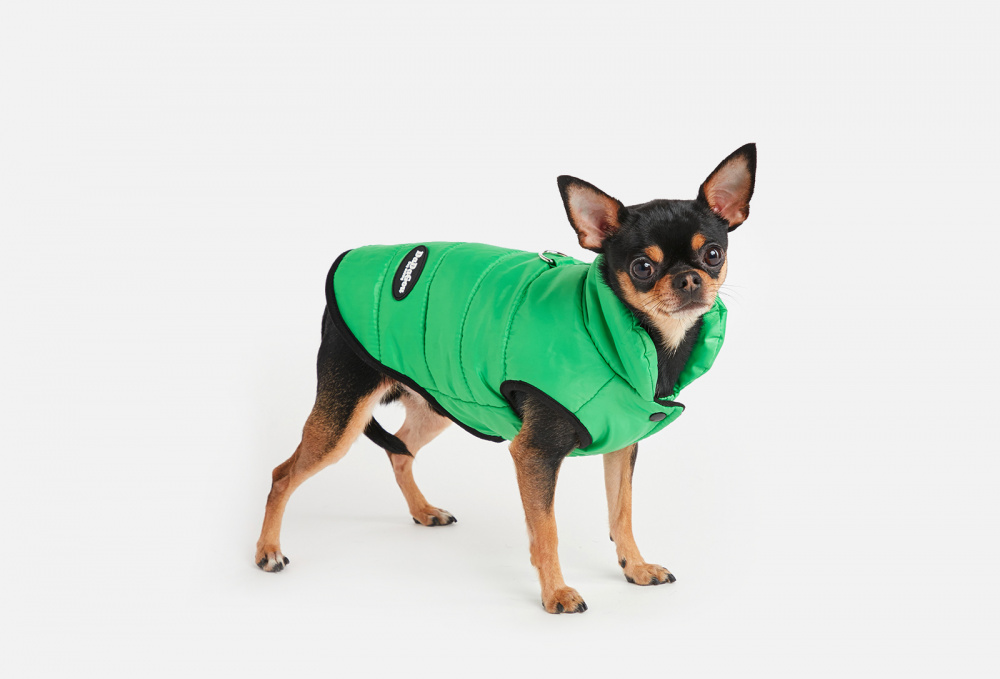 Куртка для собак ARNYDOG - фото 1